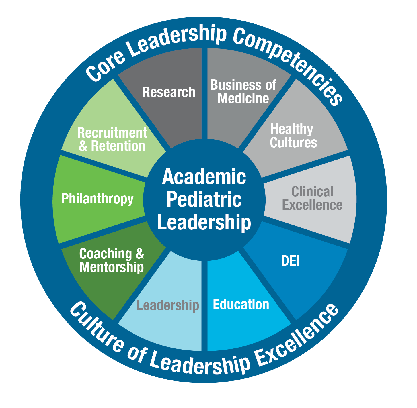 CareerPhysician, Core Leadership Competencies